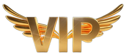 Your VIP Limo