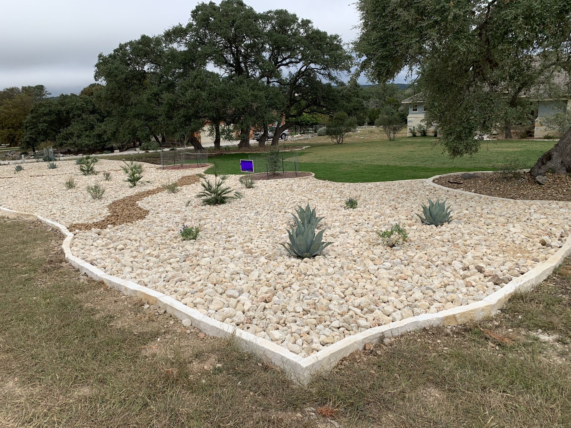 A rock garden shaped like Texas, with various plants, bordered by concrete, in a grassy yard.