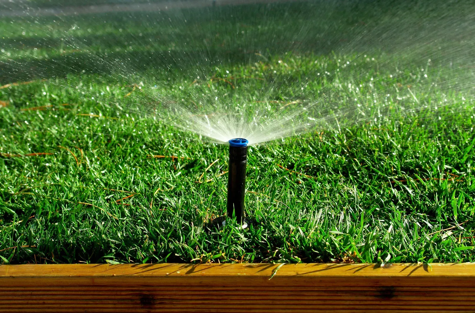 Sprinkler watering a patch of green grass in a wooden bordered lawn.