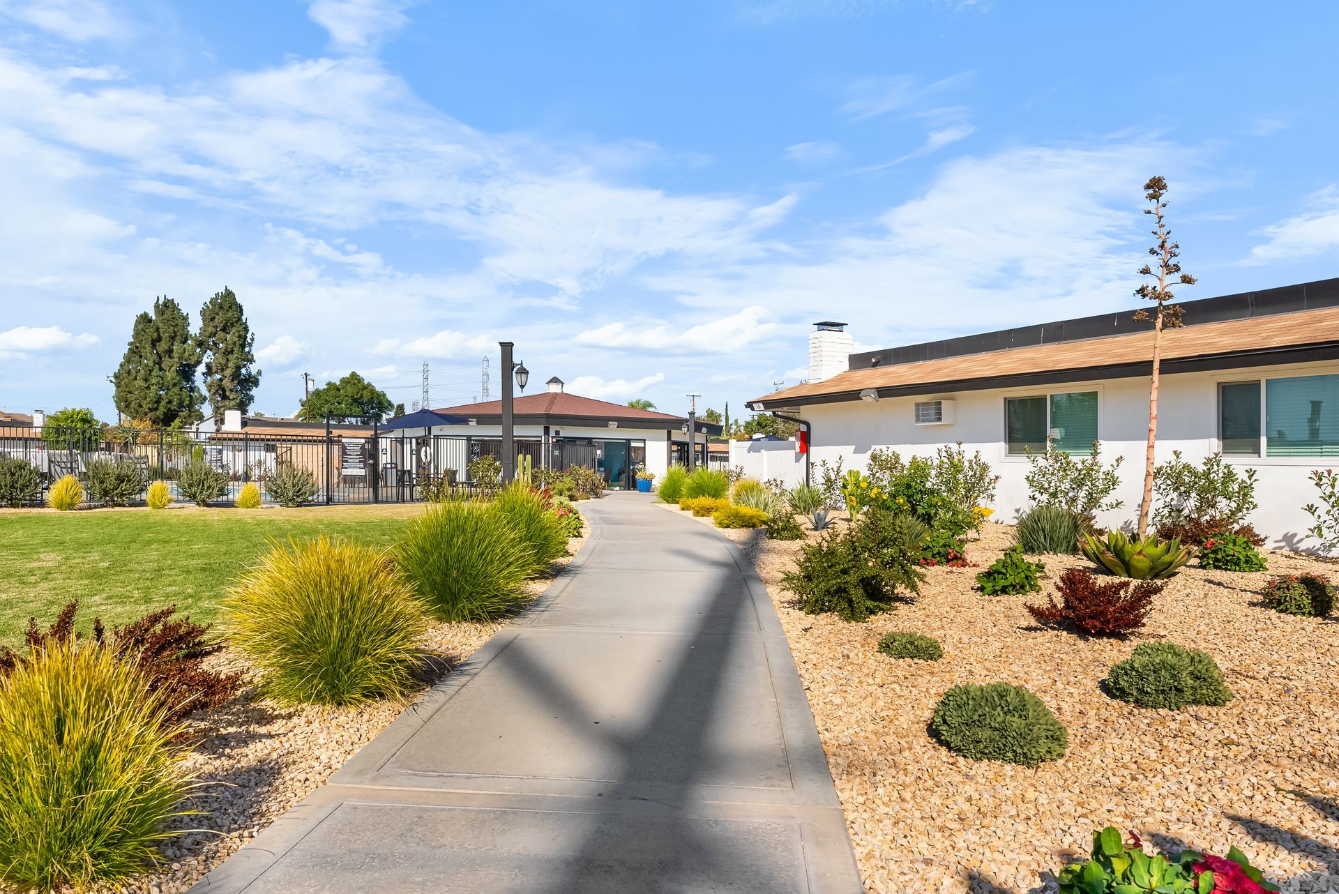 walkway with rocks and bushes