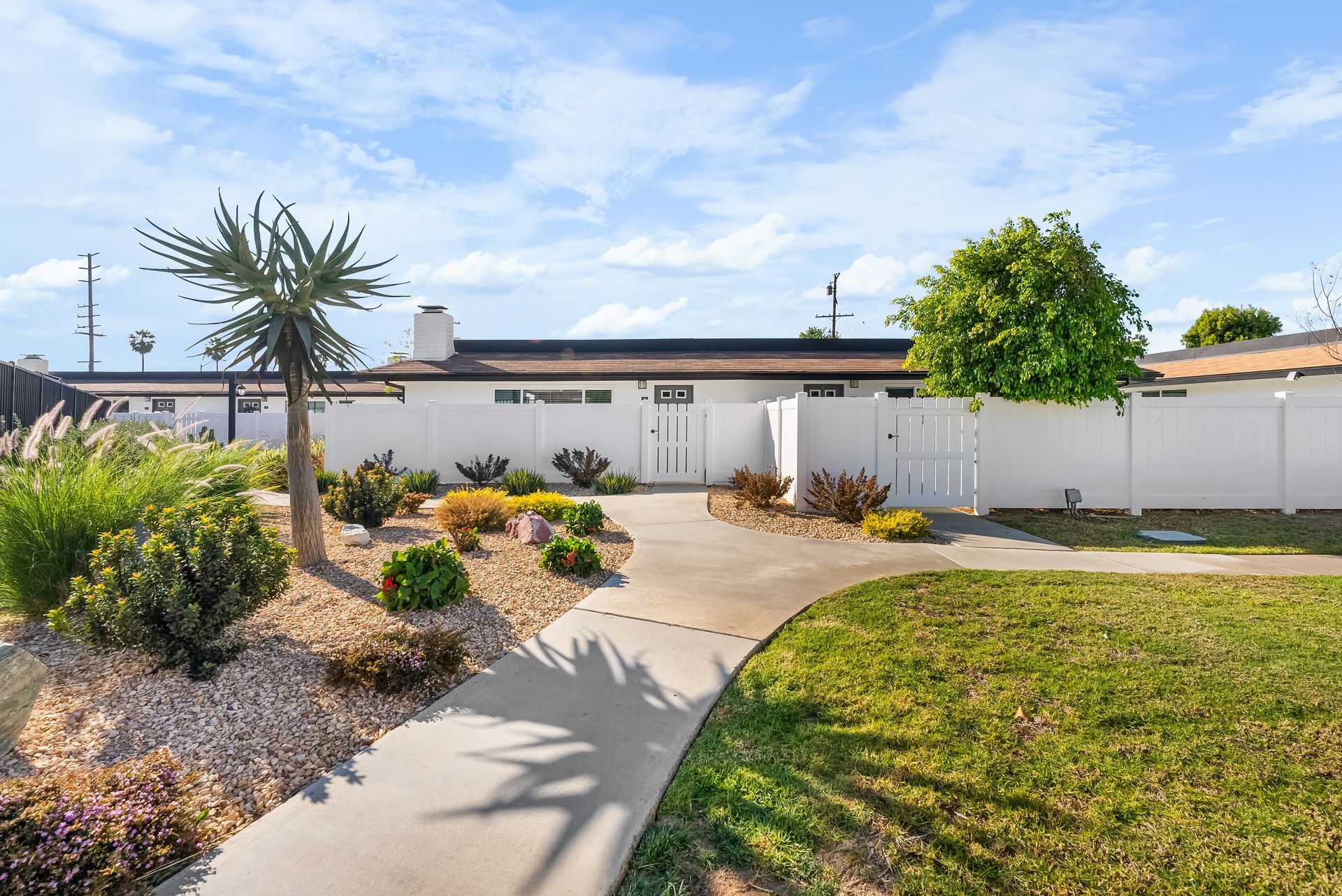 walkway with rocks and plants