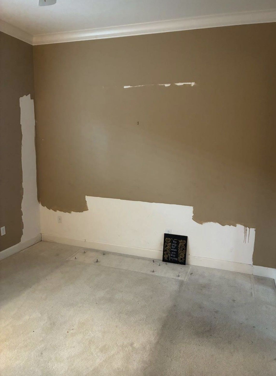 Cleanup King LLC - A room with a beige wall partially painted white. Carpet on the floor, crown molding at the ceiling.