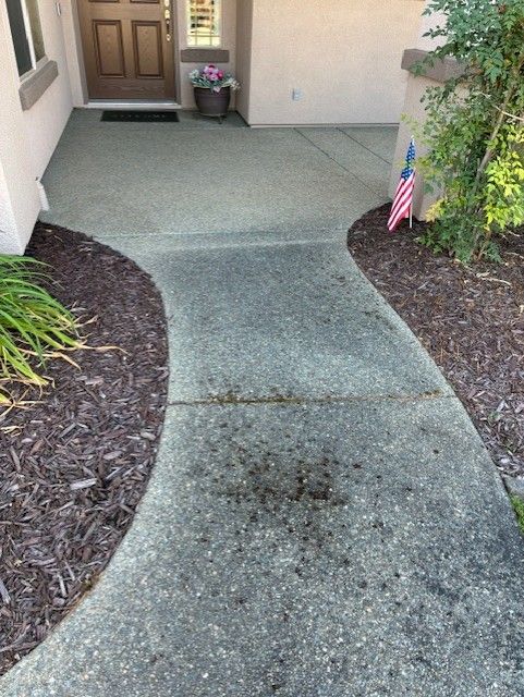 Cleanup King LLC - Concrete walkway curves toward a front door; landscaping borders both sides.