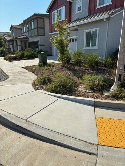 Cleanup King LLC - Sidewalk with curb cut and textured yellow paving, landscaped with plants, in front of houses.