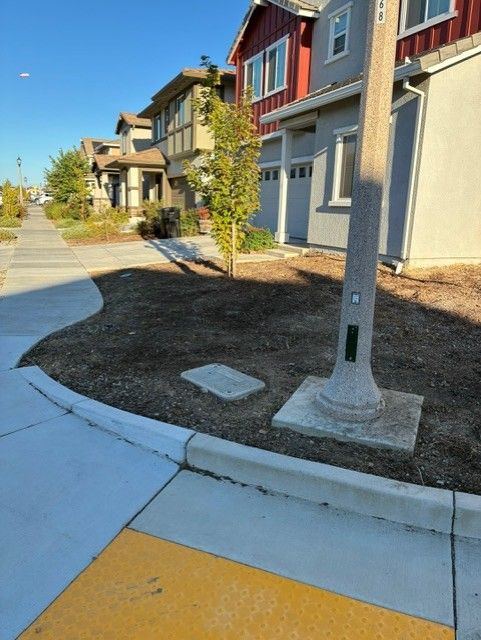 Cleanup King LLC - Sidewalk in front of houses with a tree and light pole. Gray, beige, red buildings.