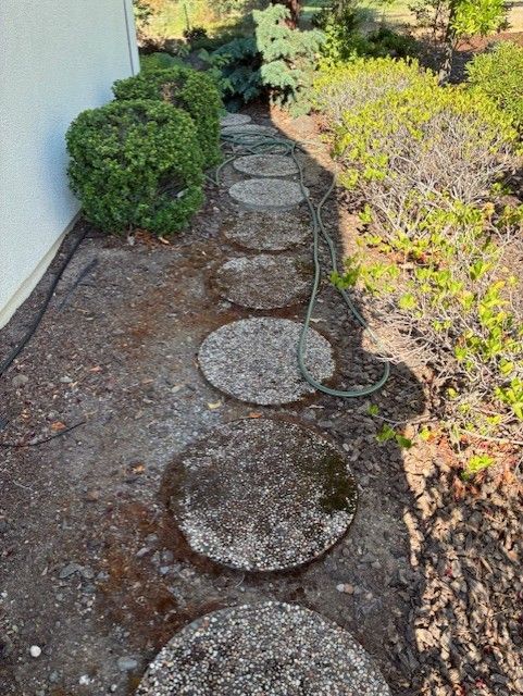 Cleanup King LLC - Circular stepping stones in a garden path, next to shrubs and greenery. A hose lies on the path.