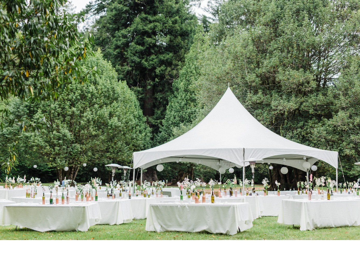 Party Supplies Eureka, CA The Party Place