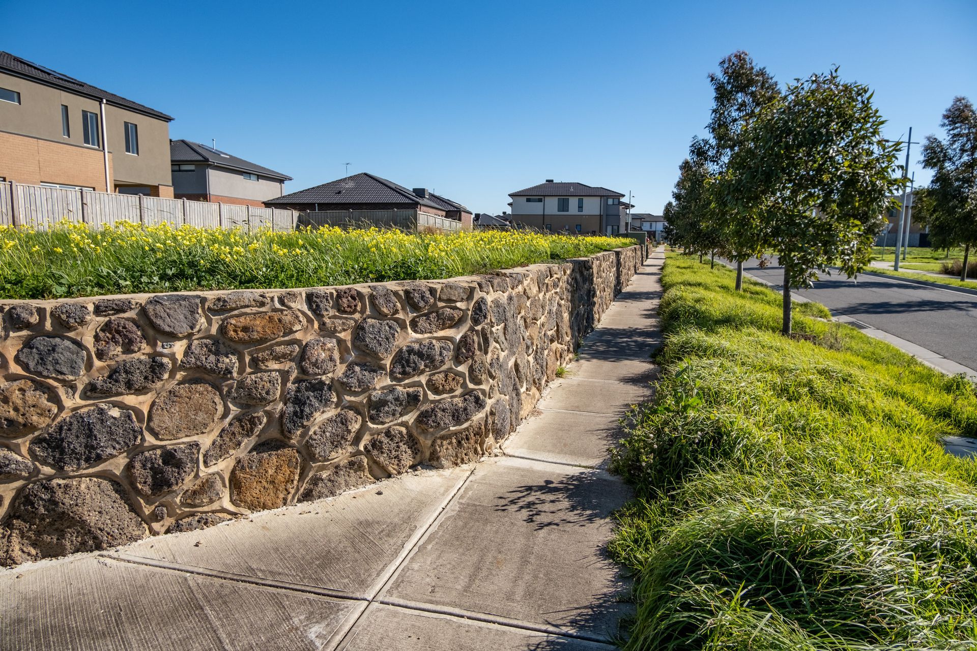 A stone retaining wall topped with yellow flowers borders a concrete sidewalk alongside a street with modern houses.