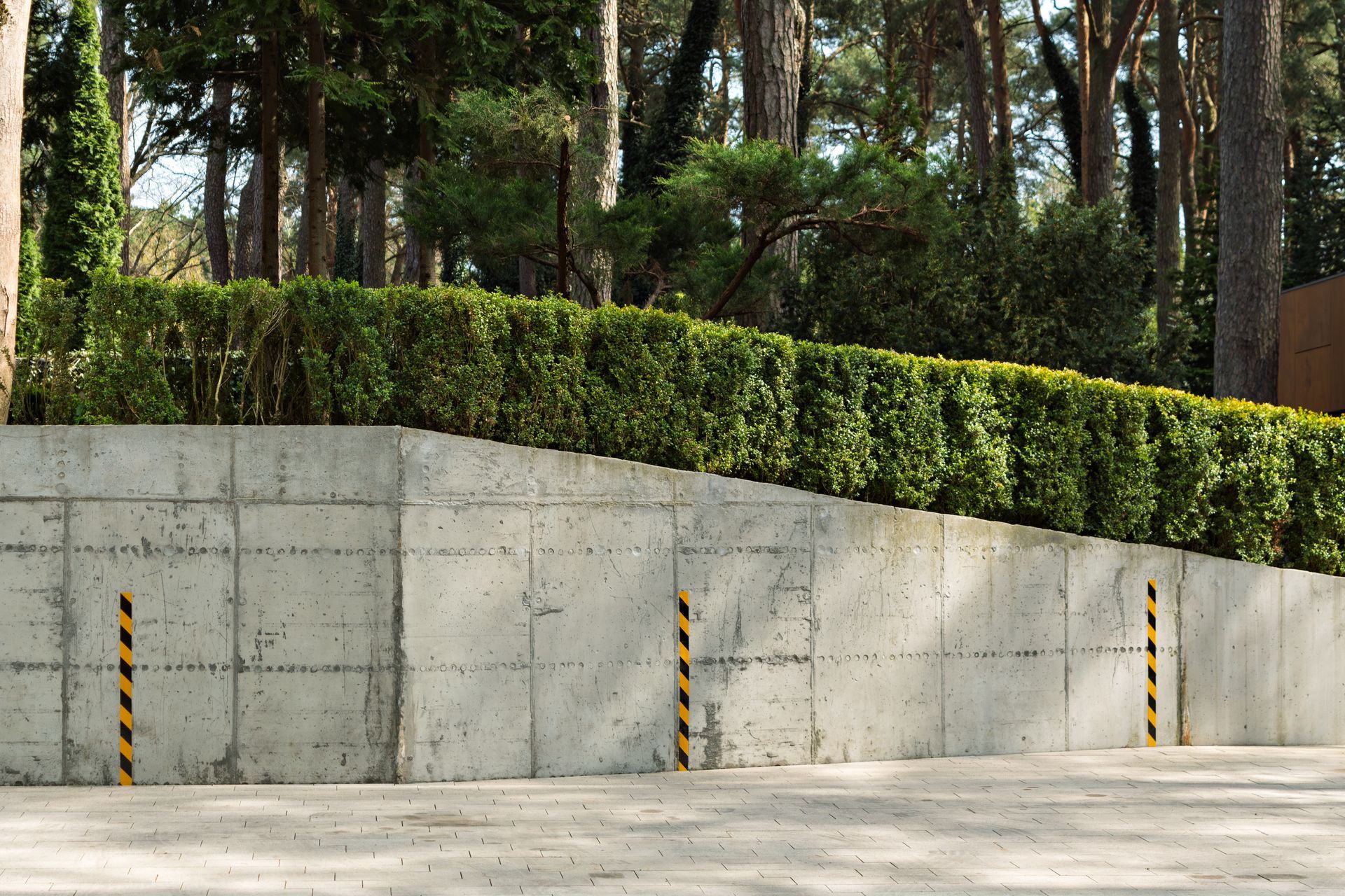 A concrete retaining wall with black and yellow safety poles, topped by a dense green hedge in front of a forest.