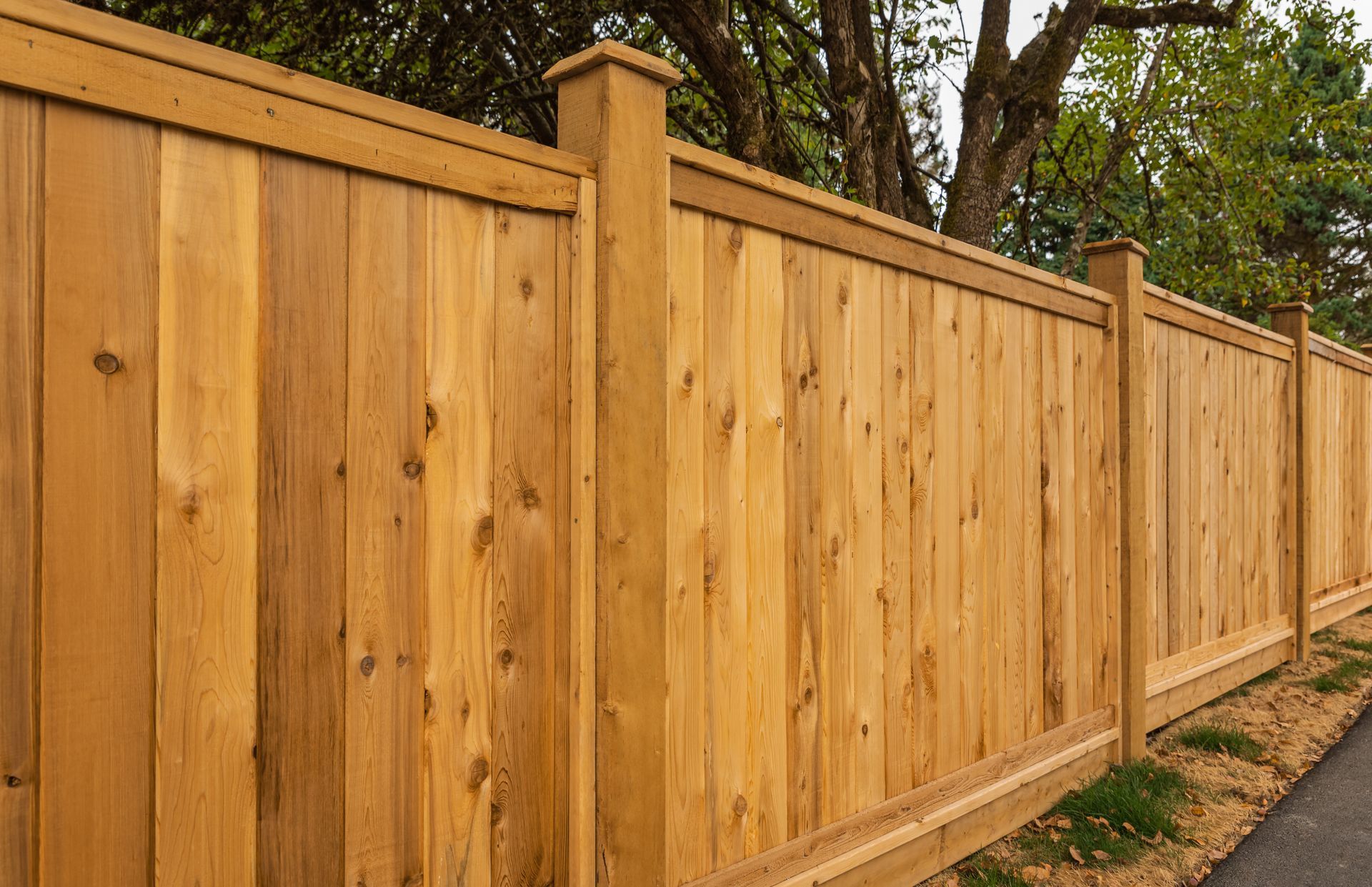 A sturdy, light-brown wood privacy fence with vertical panels and square posts, set against green trees.