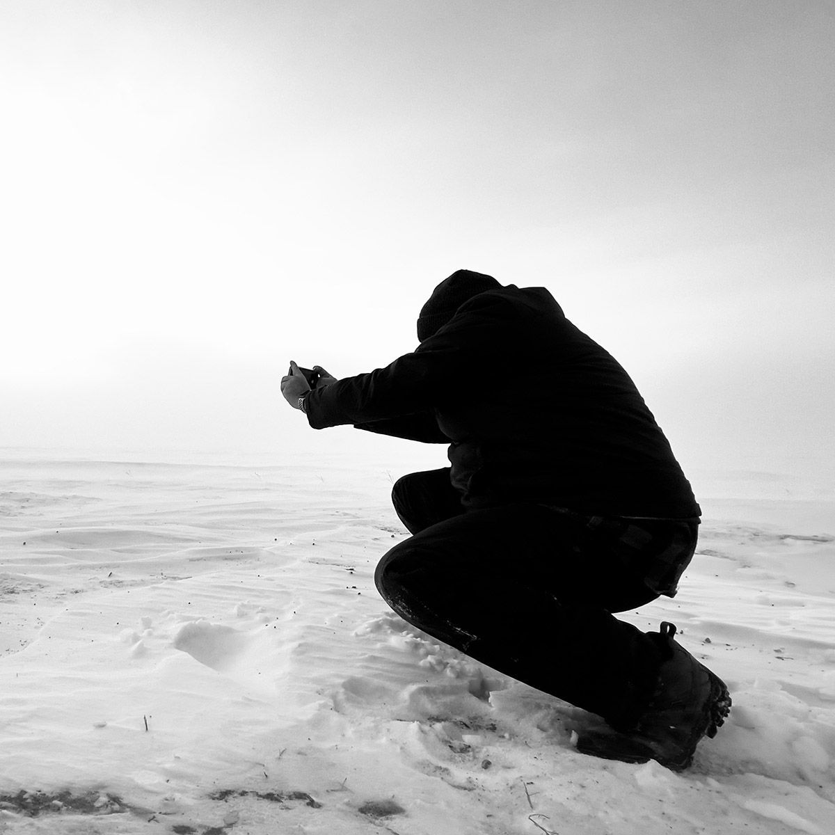 Spirit Animal Fine Art Digital Artwork by Doug Friesen