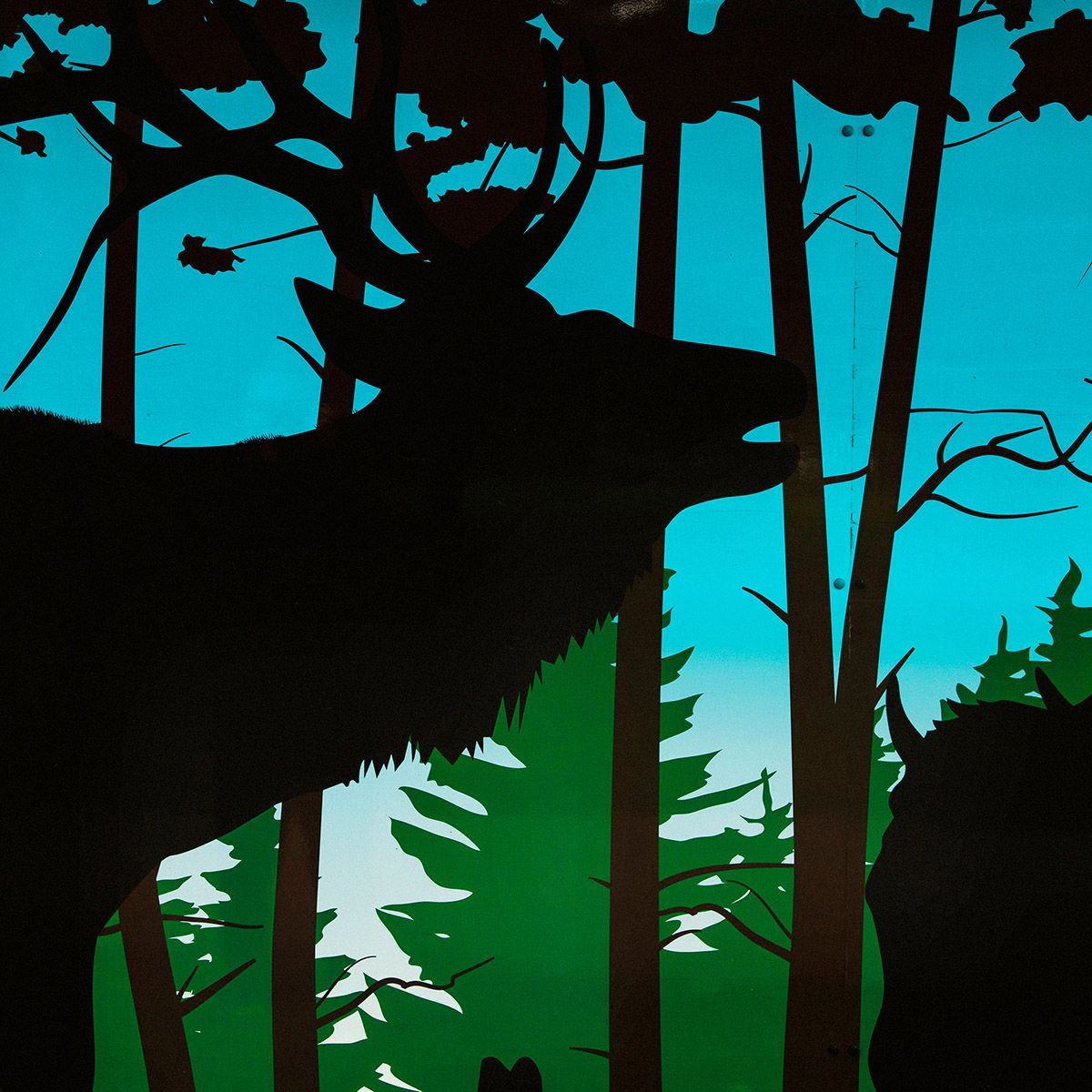 Spirit Animal Fine Art Digital Artwork by Doug Friesen