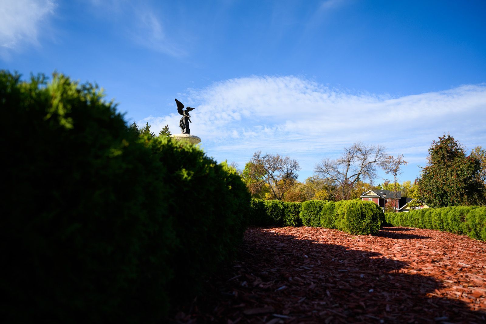 ANGEL | Fine Art Photography by Doug Friesen
