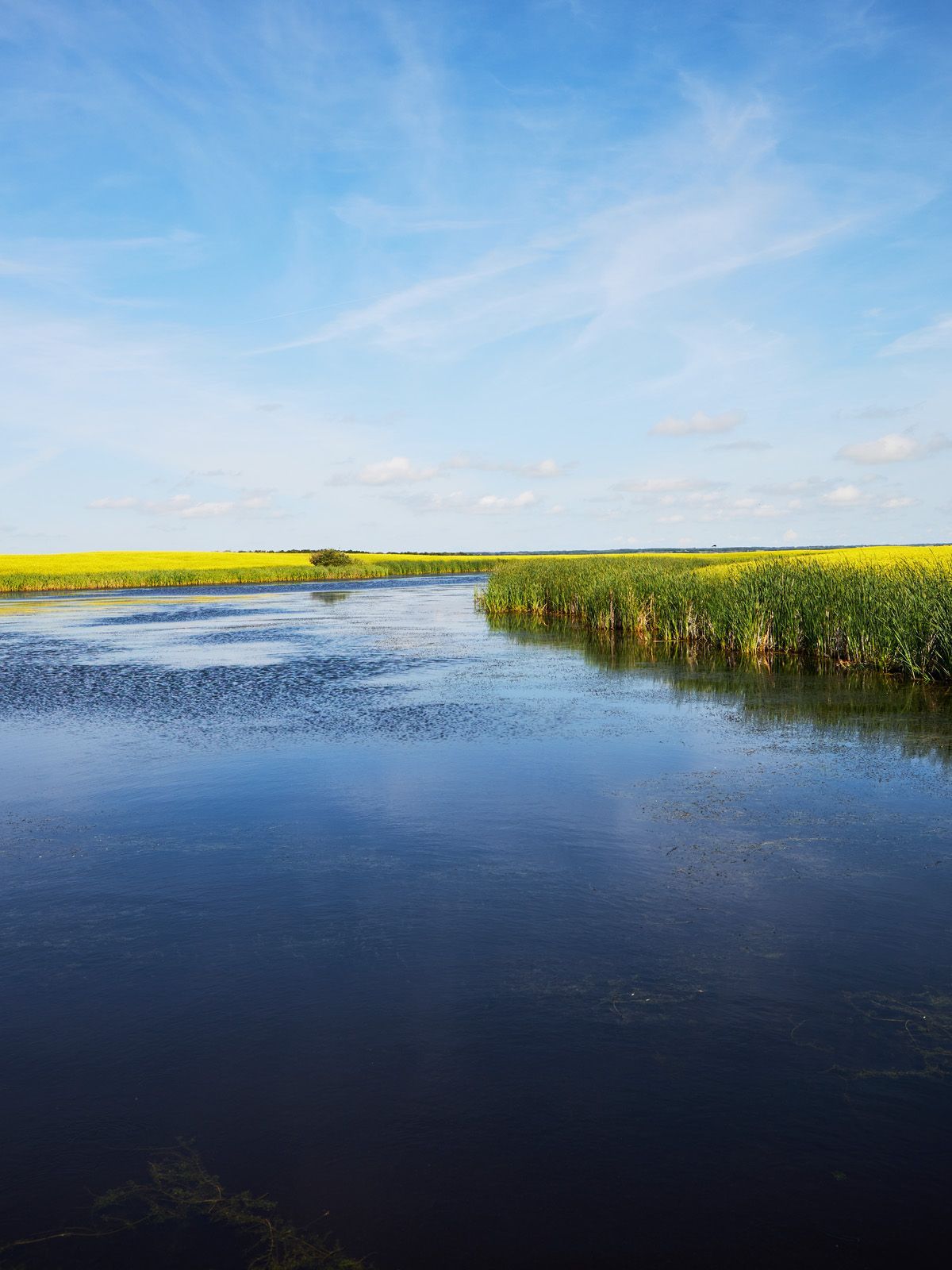 THE POND | Fine Art Photography by Doug Friesen