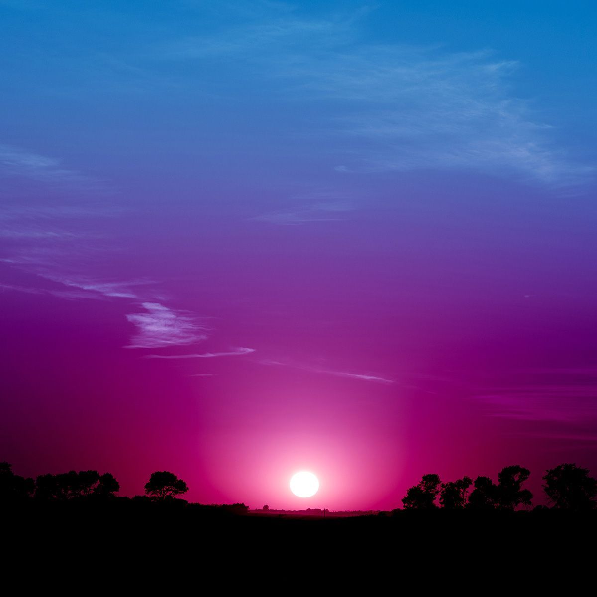 Spirit Animal Fine Art Digital Artwork by Doug Friesen