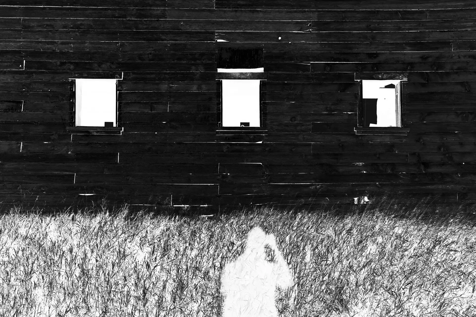 FIRST CONTACT | Fine Art Photography NFT by Doug Friesen