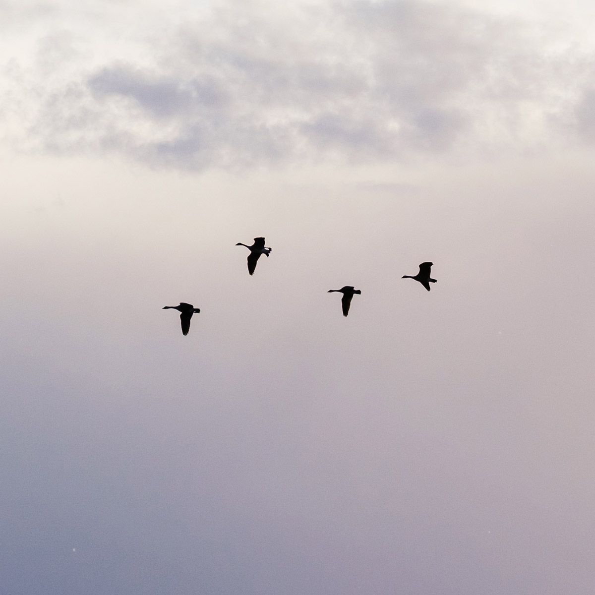 The Art of Soul Fine Art Digital Collage by Doug Friesen