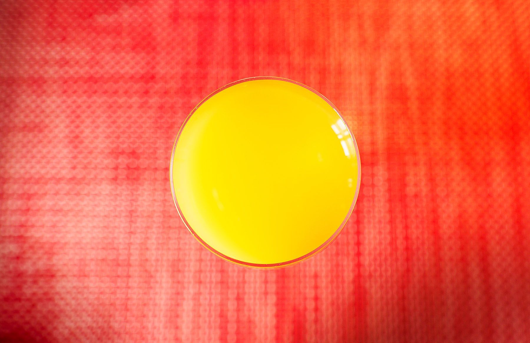 BREAKFAST ORANGE | Fine Art Photography by Doug Friesen