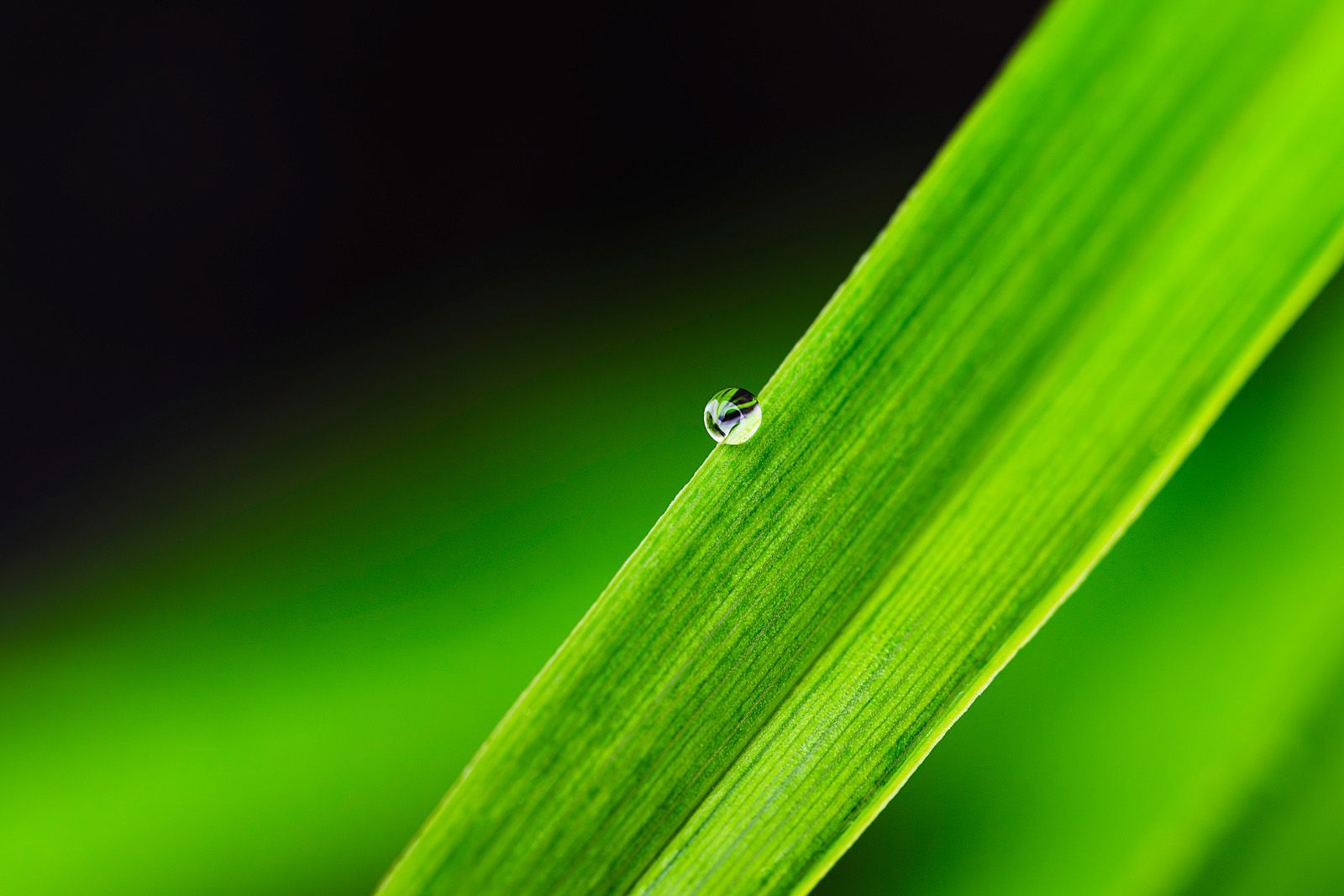 THE LAST DROP | Fine Art Photography by Doug Friesen