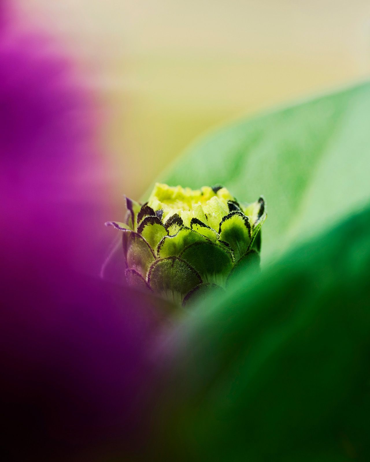 GRANDEUR | Fine Art Photography by Doug Friesen