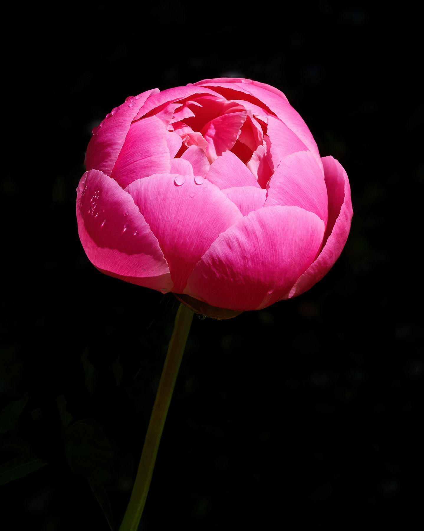LOVE STORY | Fine Art NFT by Doug Friesen