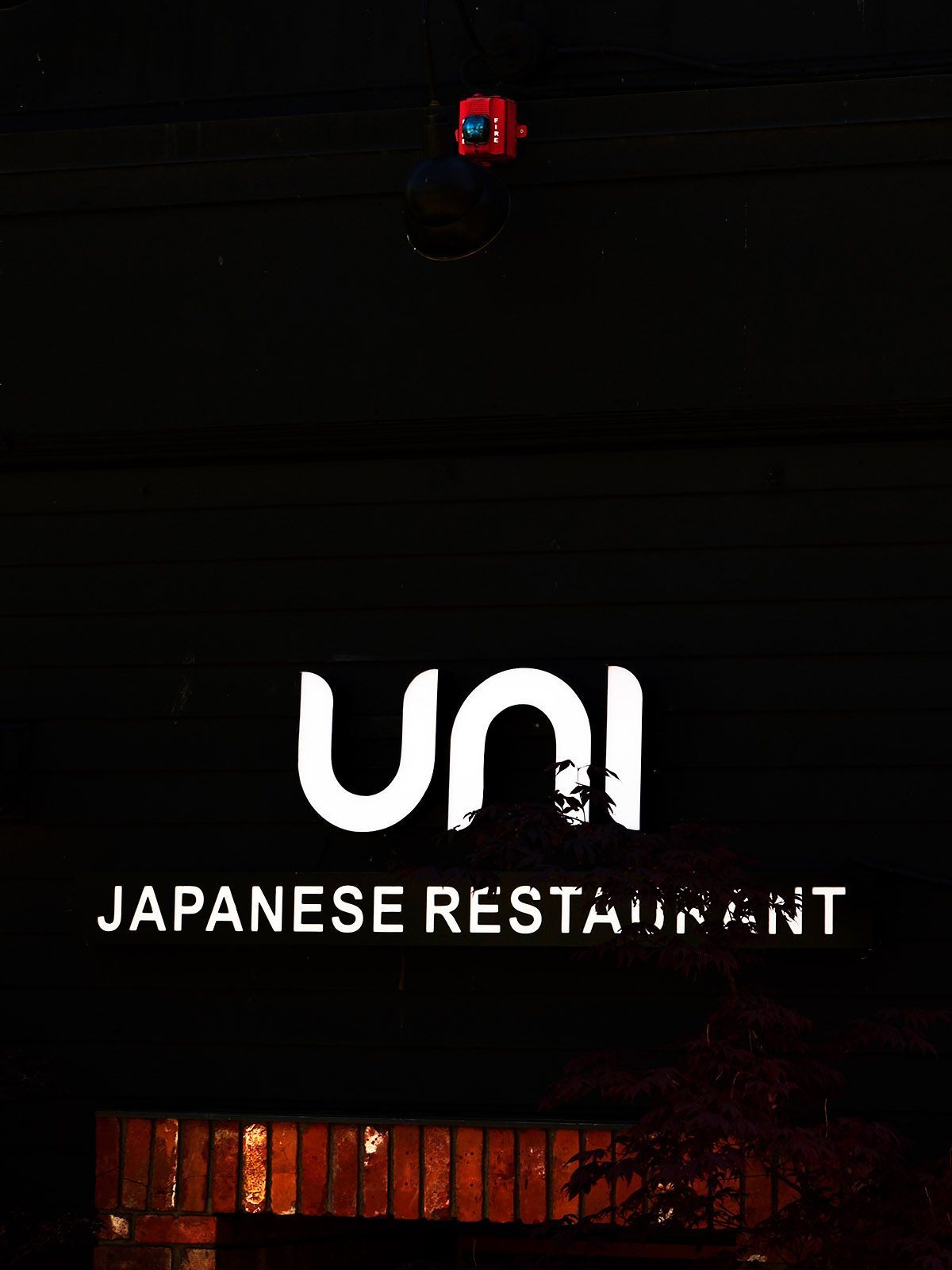 UNI | Fine Art Photography by Doug Friesen