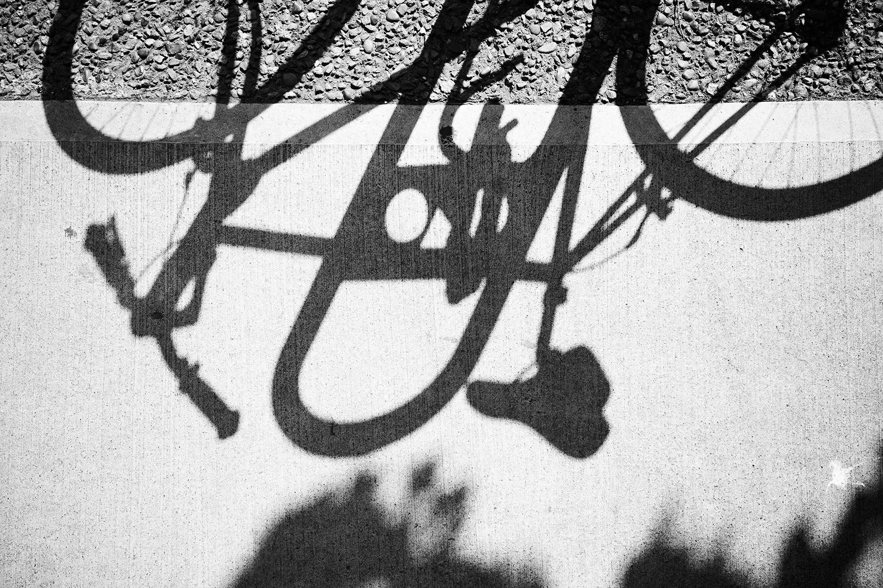 SECOND LIFE | Fine Art Photography by Doug Friesen