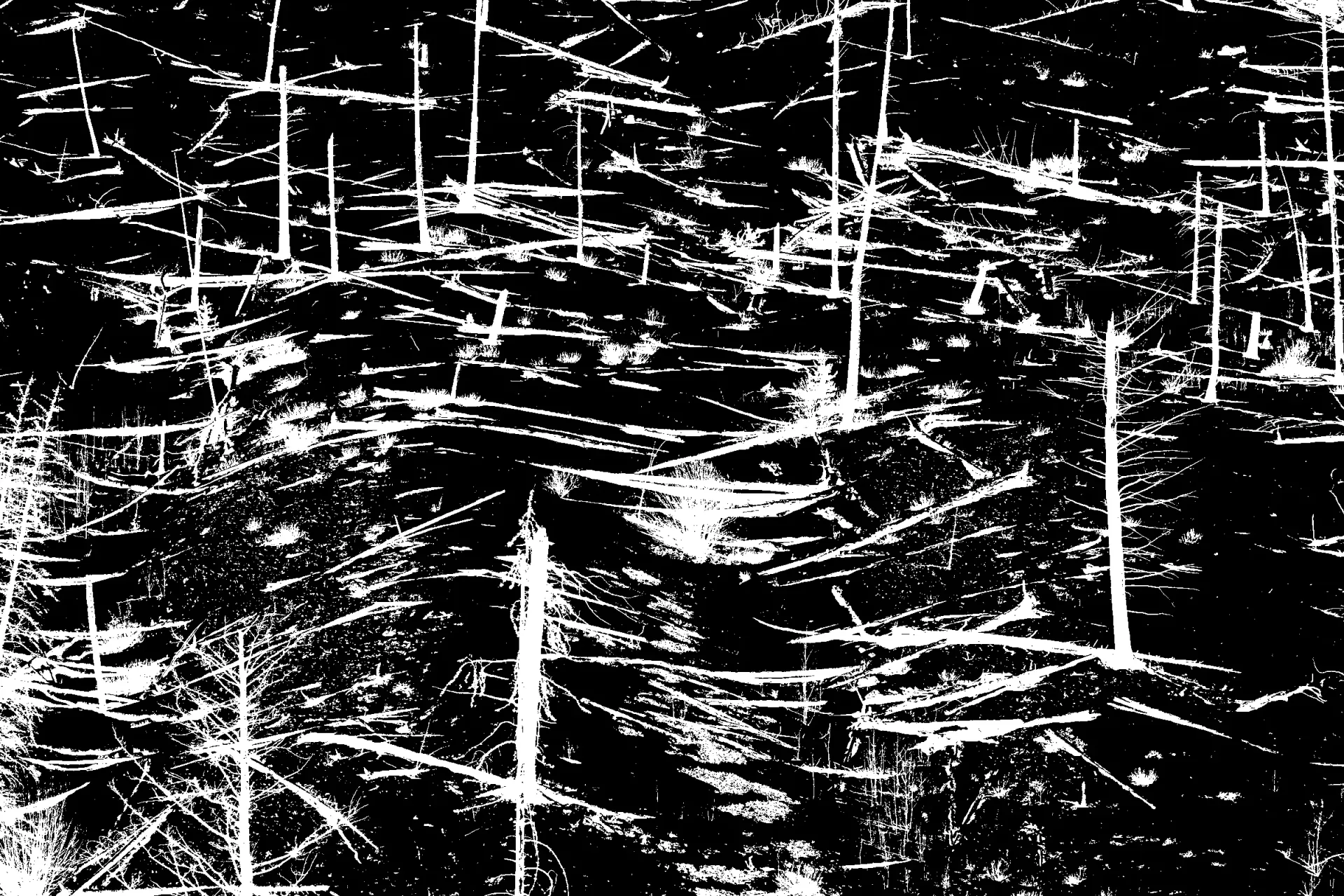 RESET is a Fine Art Bitcoin Ordinal NFT by Doug Friesen