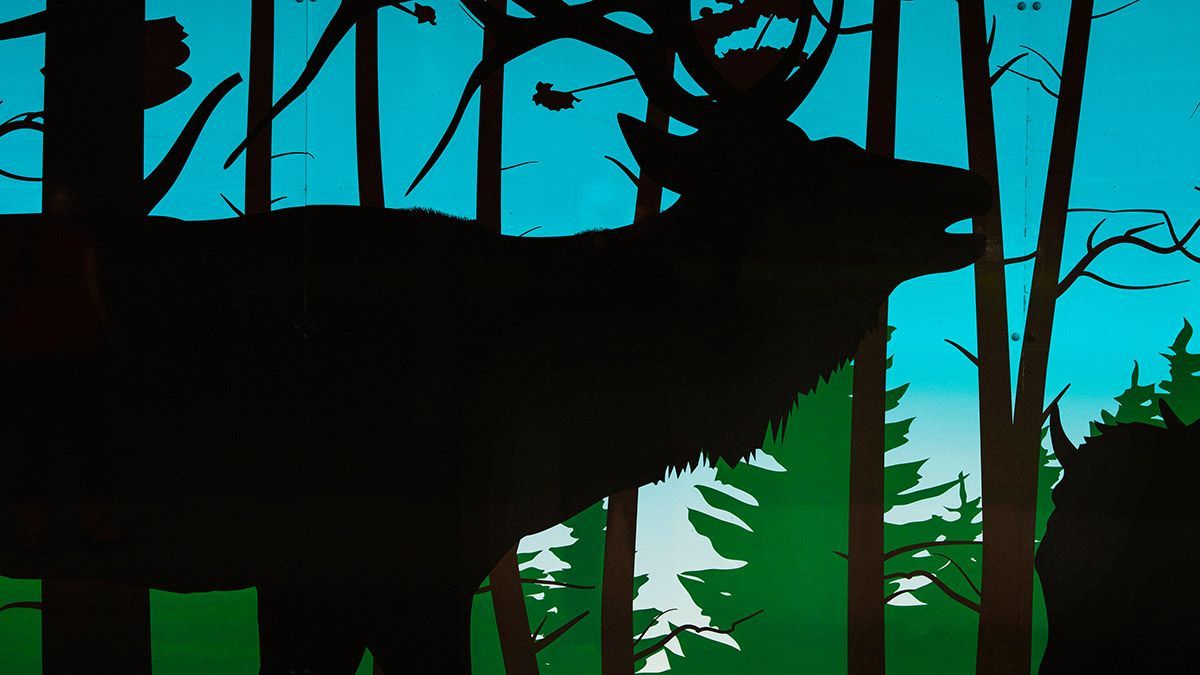 Source Layer for Spirit Animal by Doug Friesen