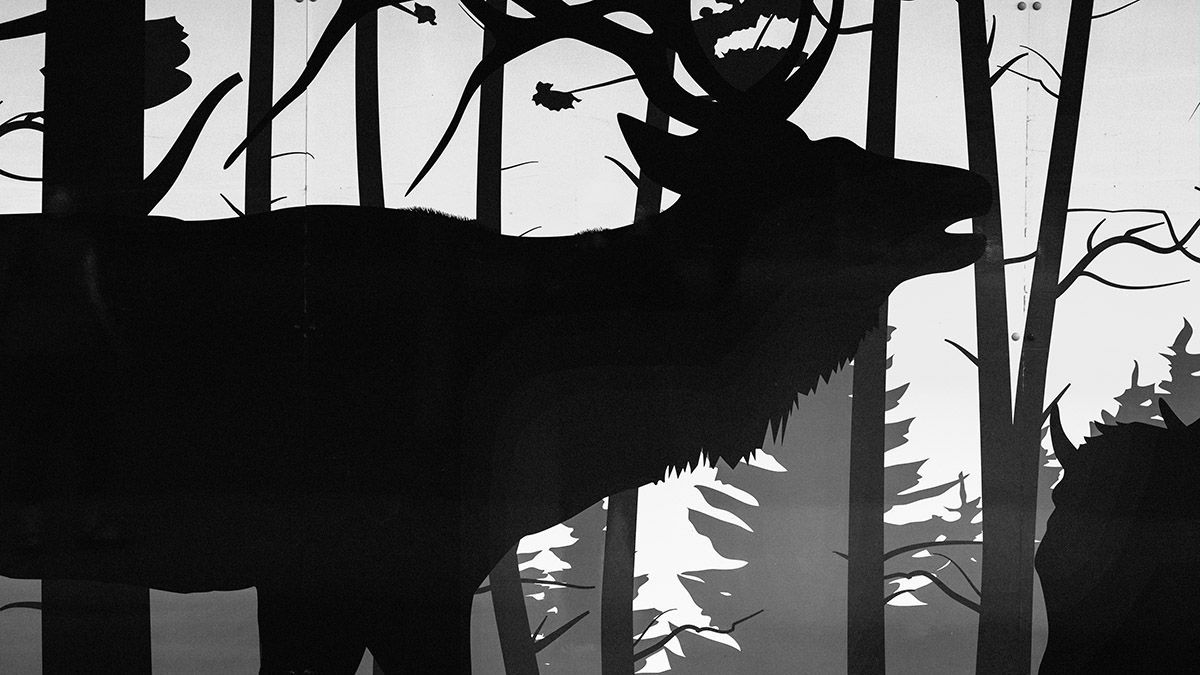 Source Layer for Spirit Animal by Doug Friesen