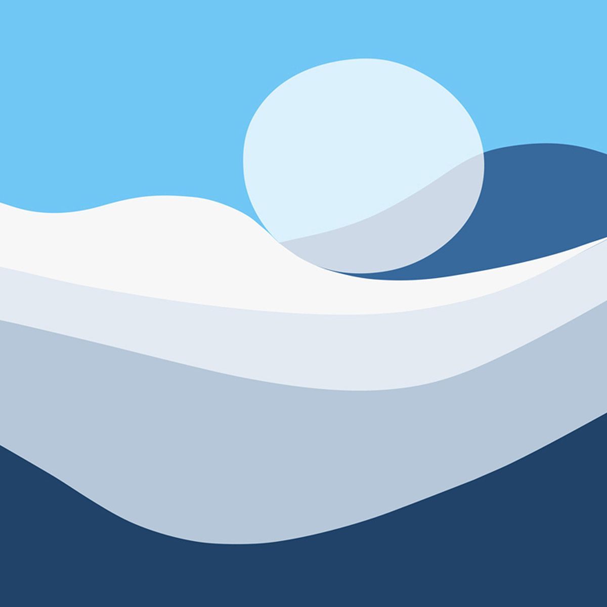 Spirit Animal Fine Art Digital Artwork by Doug Friesen