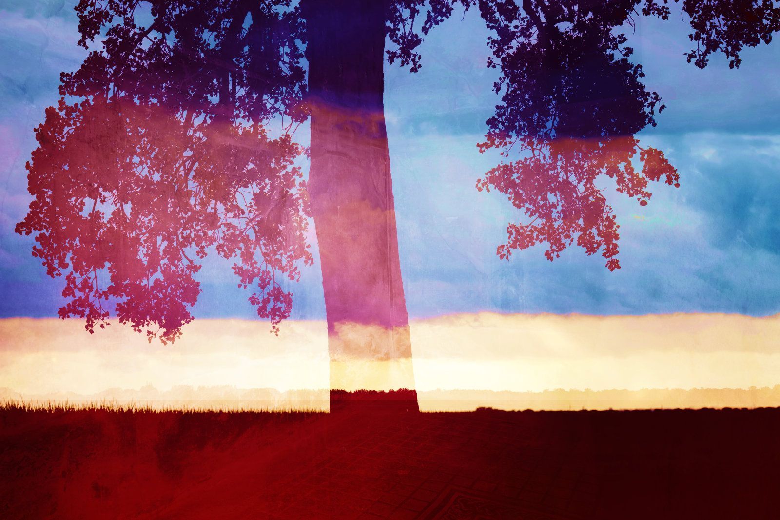 SALVATION | Fine Art NFT by Doug Friesen