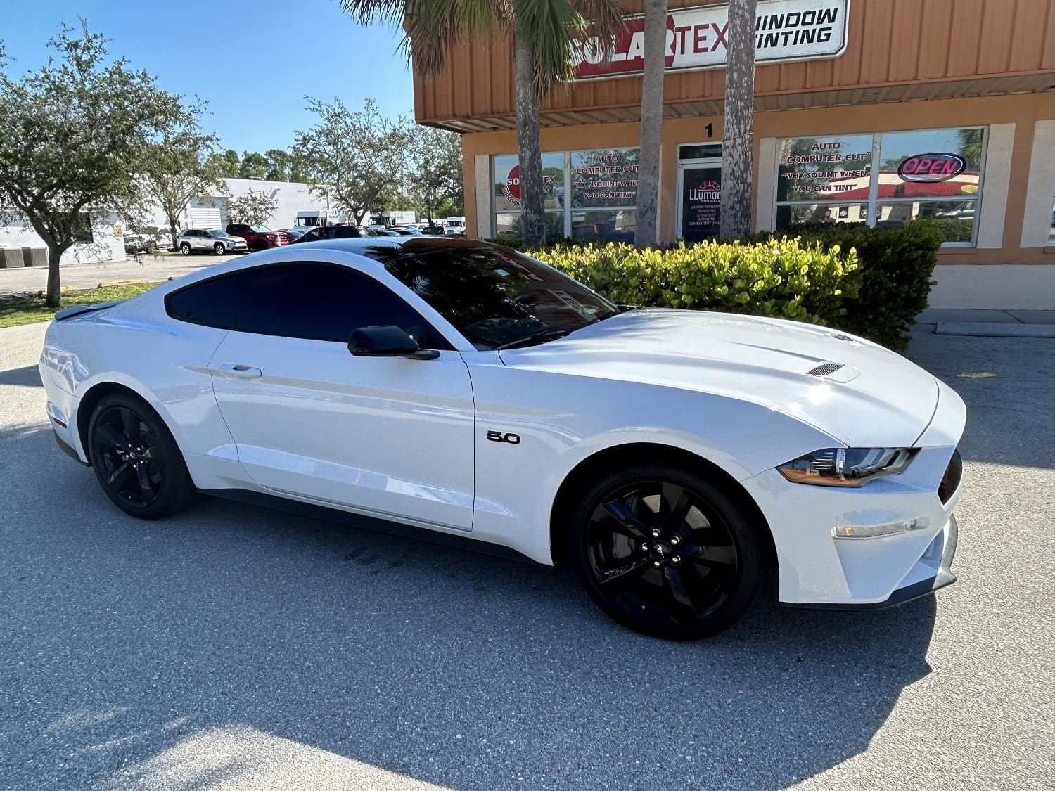 car window tinting Fort Myers FL