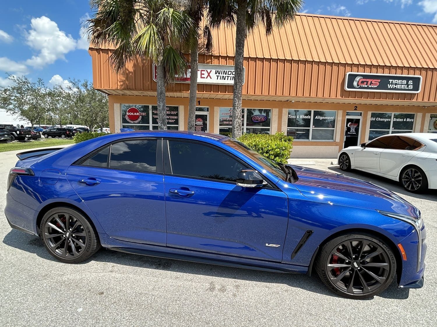 auto window tint laws Florida