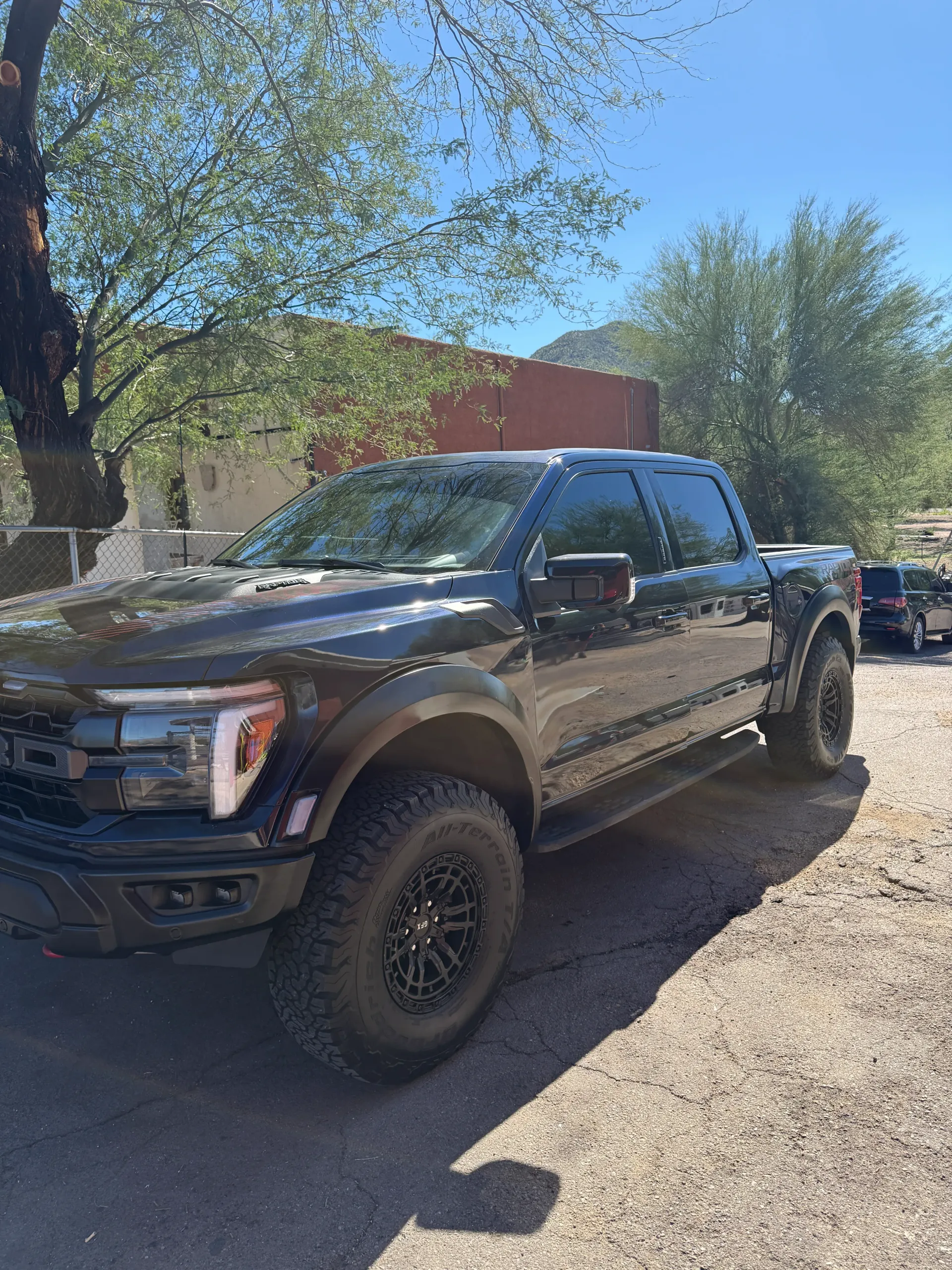 Black Ford Raptor pickup truck parked outdoors on a sunny day.