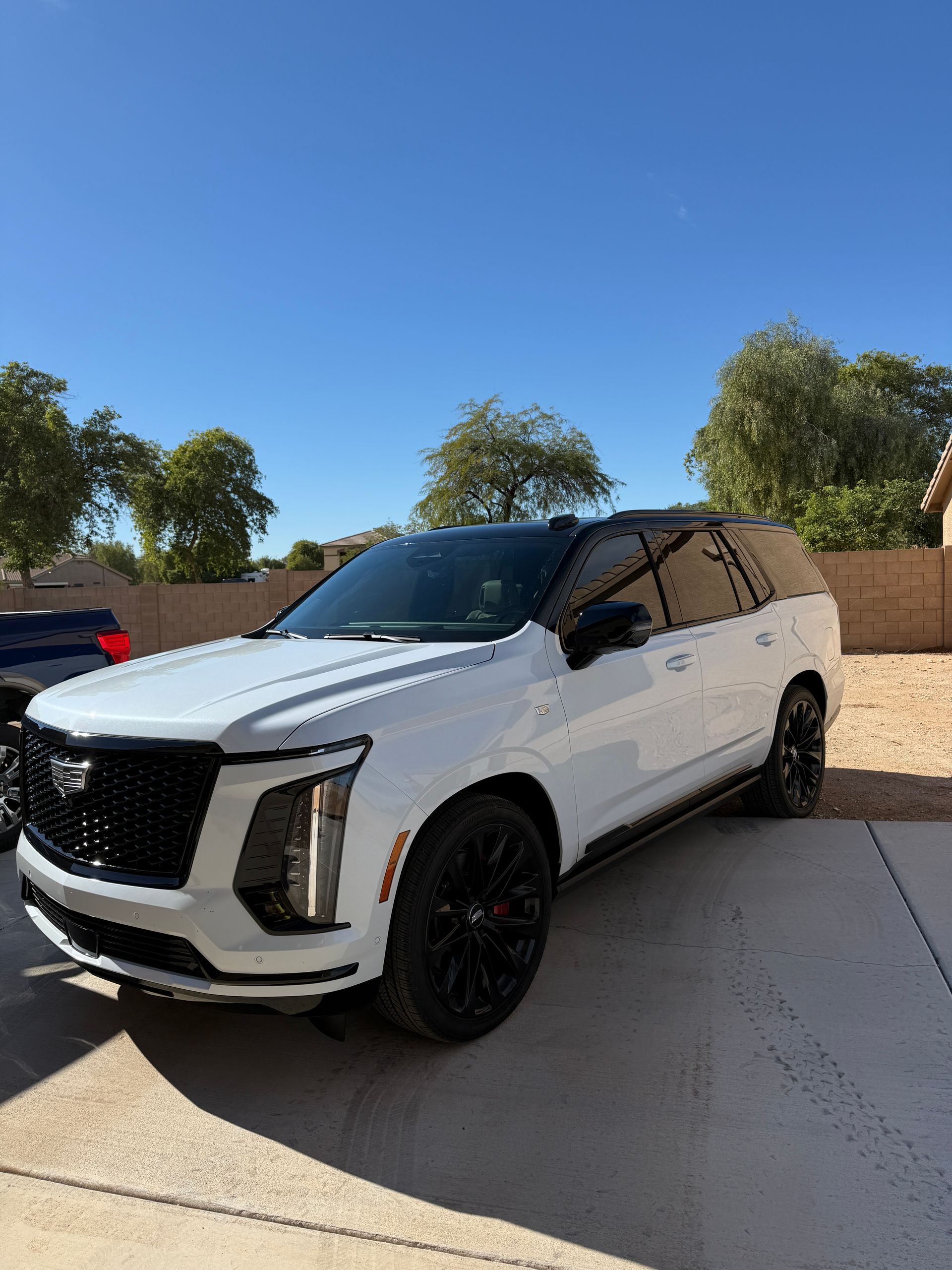 White Cadillac Escalade SUV with black accents parked outside on a sunny day.
