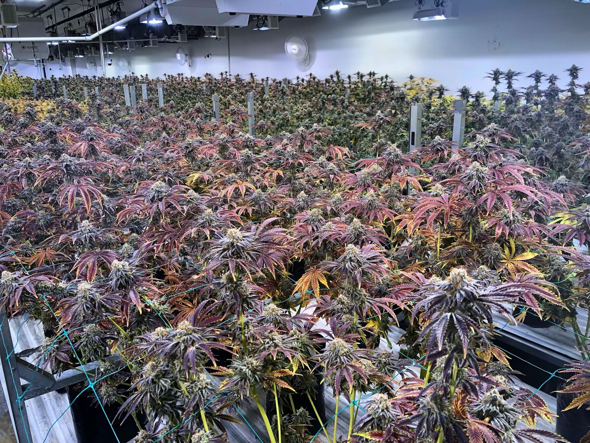 Product 02  in Vancouver, WA