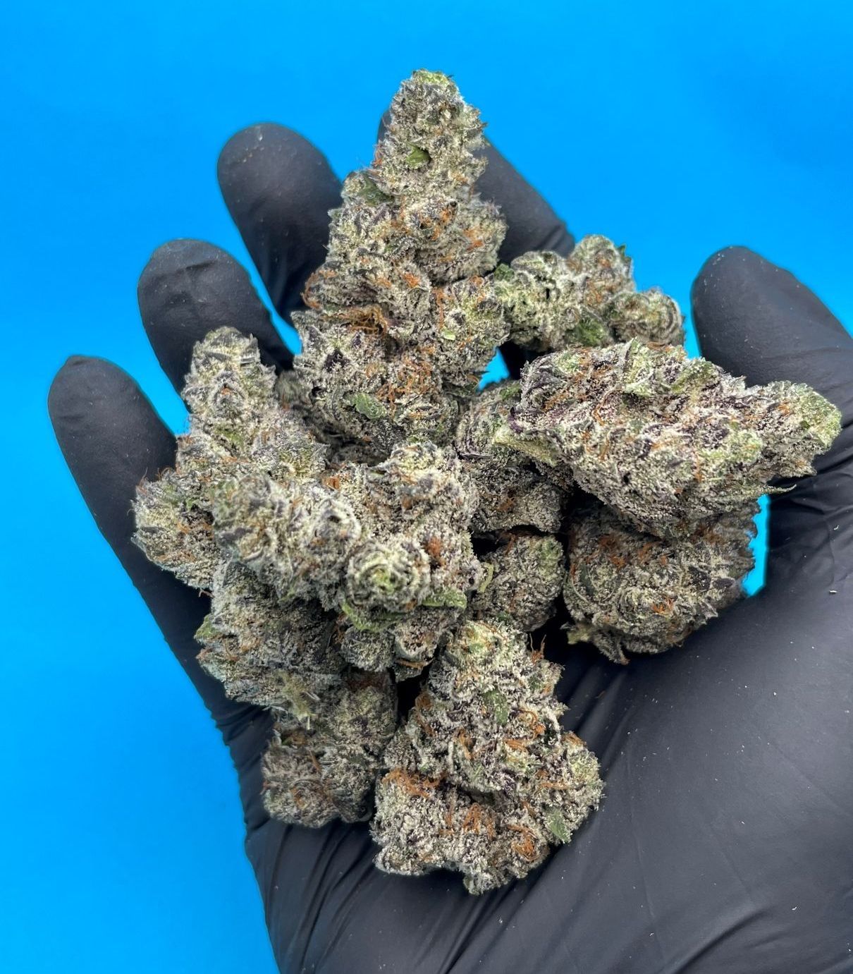 Product 05  in Vancouver, WA