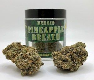 Purple Panties Cannabis Strain Review - Industrial Hemp Farms