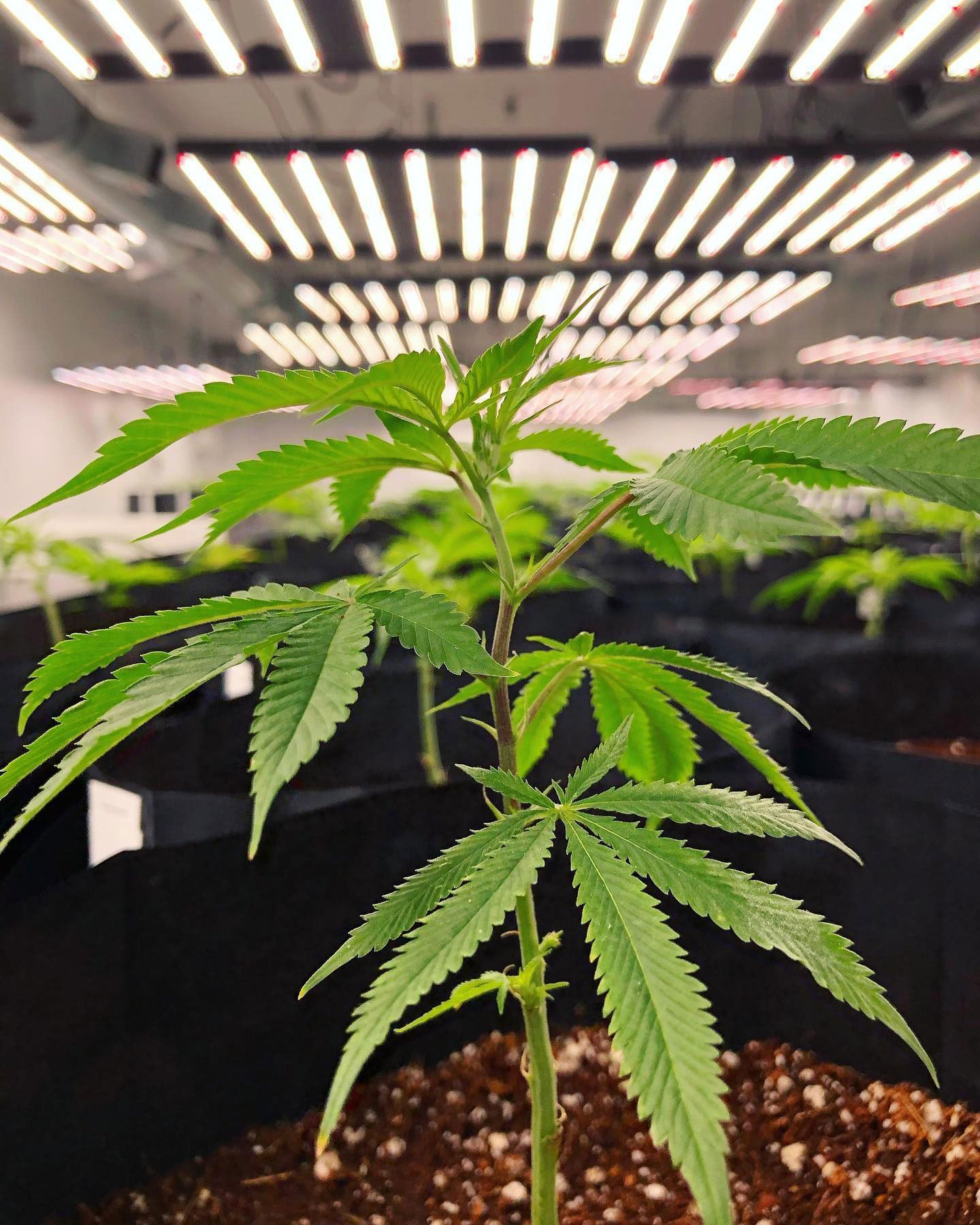 Compliance and Licensing in Vancouver, WA