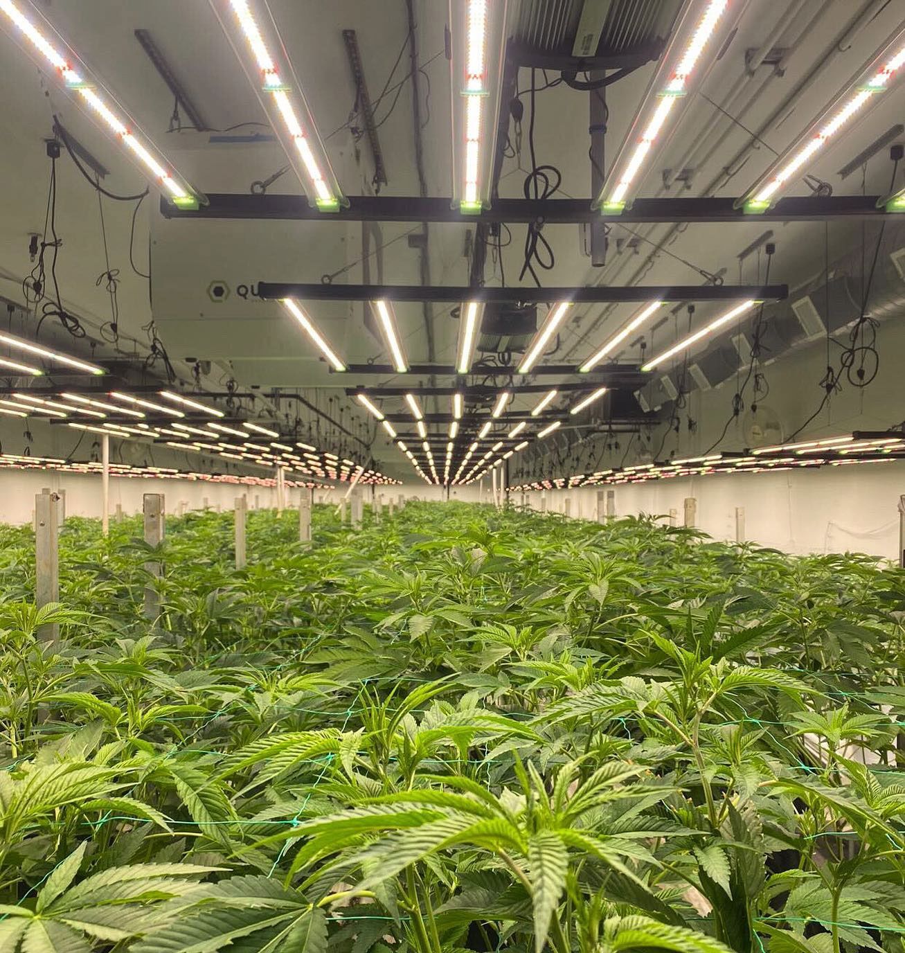 Cultivation in Vancouver, WA