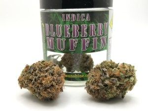 Blueberry Muffin in Vancouver, WA