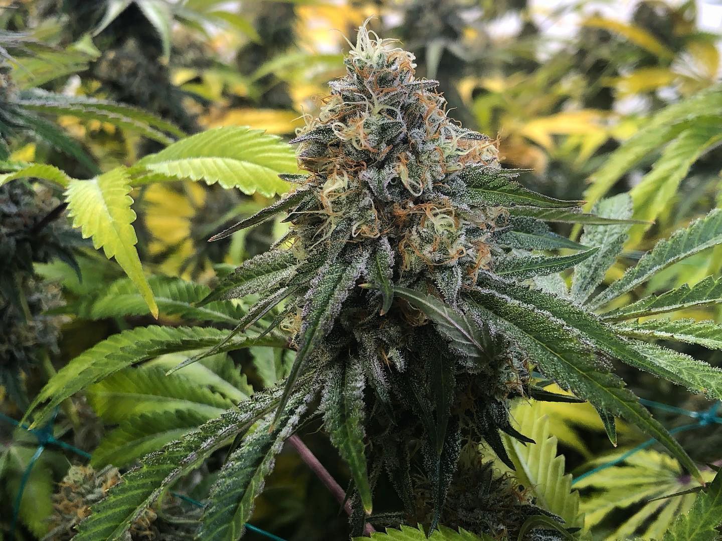 Quality Control in Vancouver, WA