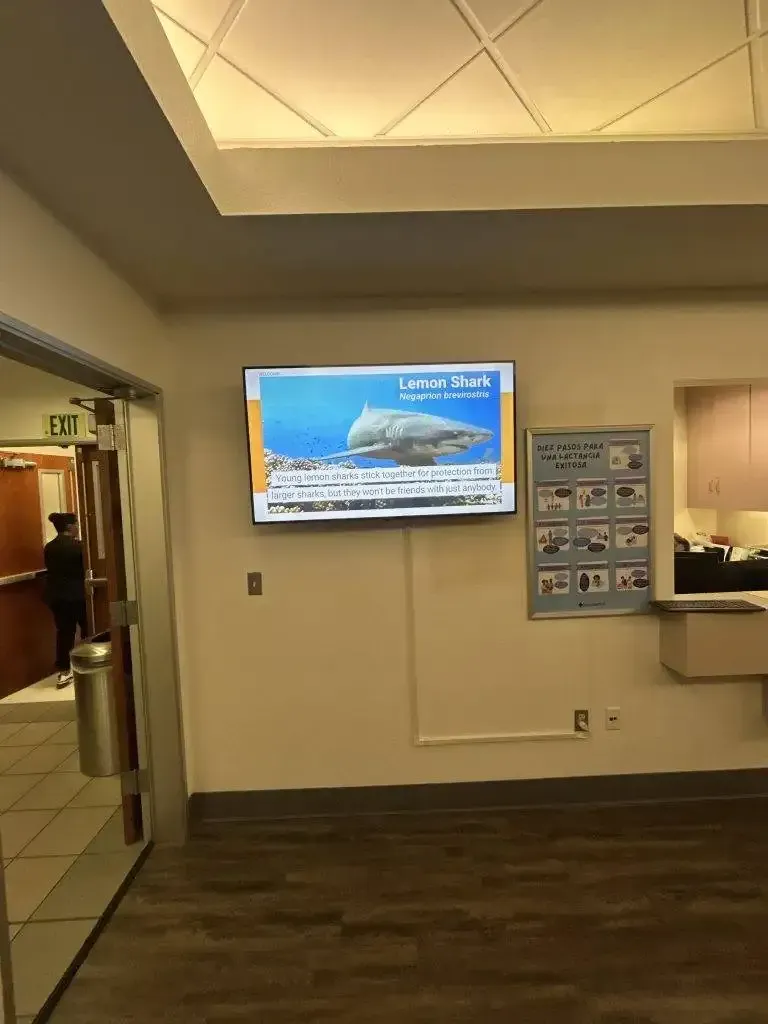 A wall-mounted TV showing a shark in a waiting room, next to a bulletin board, with a person walking through a doorway.