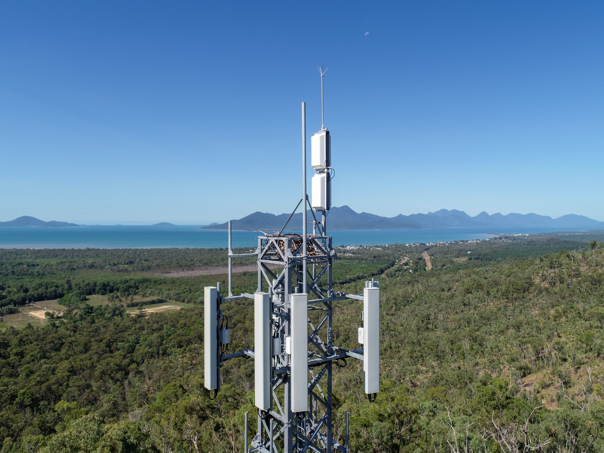 An Aerial View of a telecommunications tower with birds nest  — Tailored Spatial Solutions in Cairns City, QLD