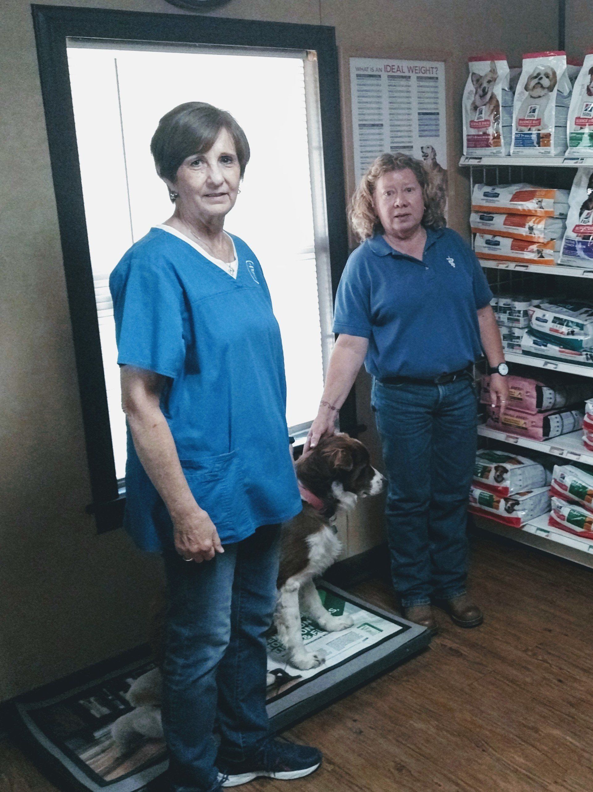 Cathy Lowarnce and Dr. Monte Gripp work at the Veterinary Clinic At