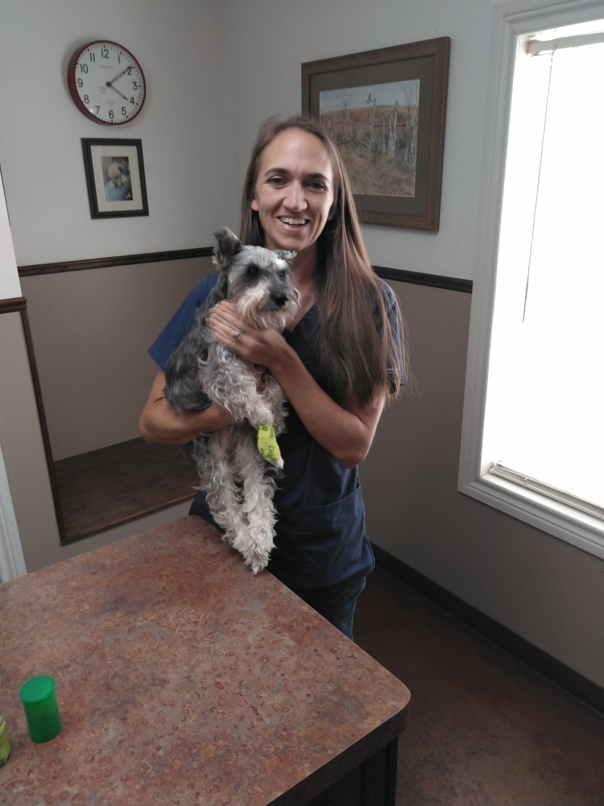 Cathy Lowarnce and Dr. Monte Gripp work at the Veterinary Clinic At