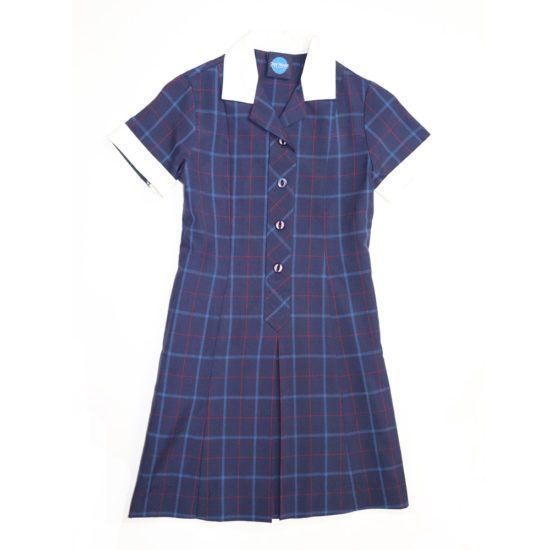 Blue plaid school uniform dress with white collar and cuffs.