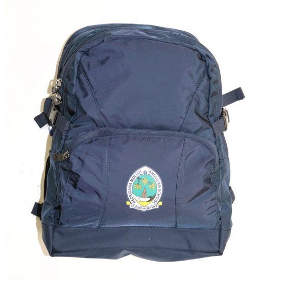 Navy blue backpack with a logo.