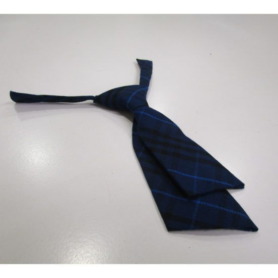 Blue plaid necktie lying on a white surface.